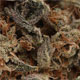 Purple Diesel