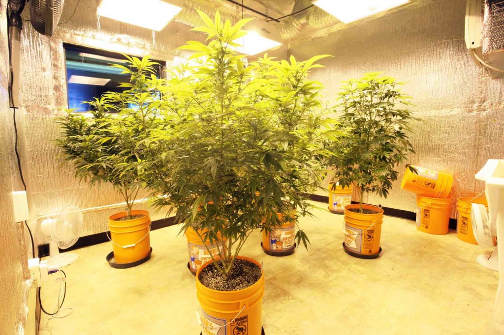 growroom